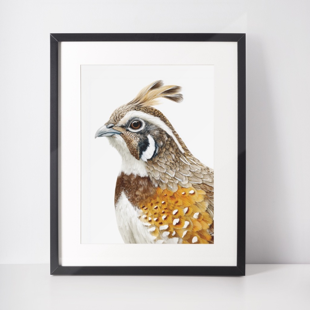 Watercolor Quail Wall Art Print, Unframed - Vibrant Nature-Inspired Home Decor - Picture 3 of 6